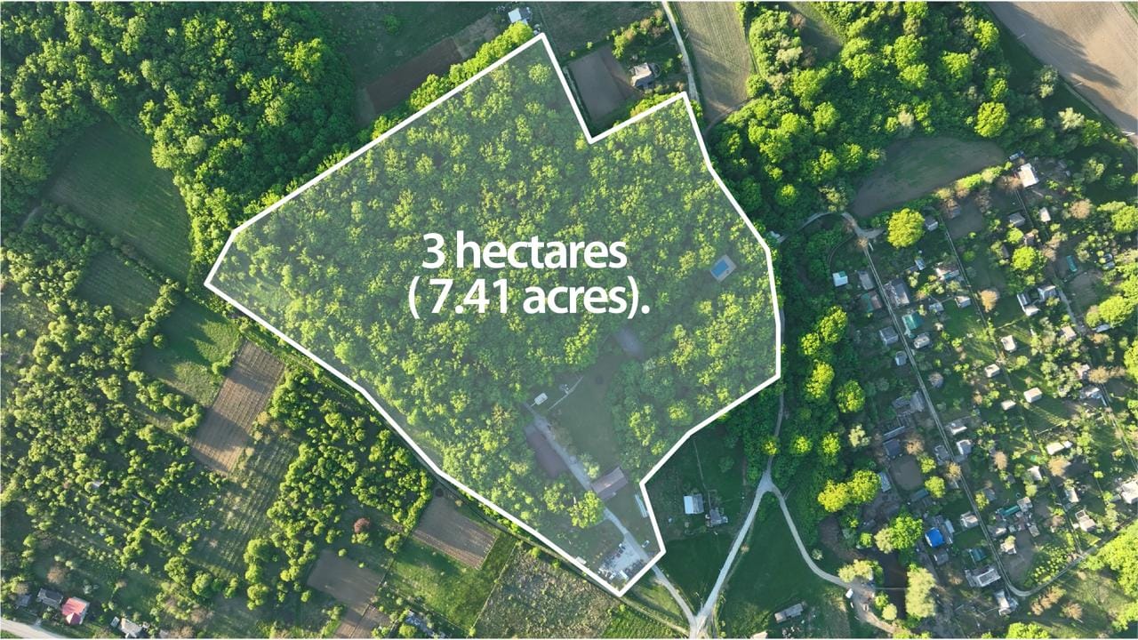 Aerial view of the forest resort cottages set in a 3 hectare clearing inside the Codrii Moldovei forest